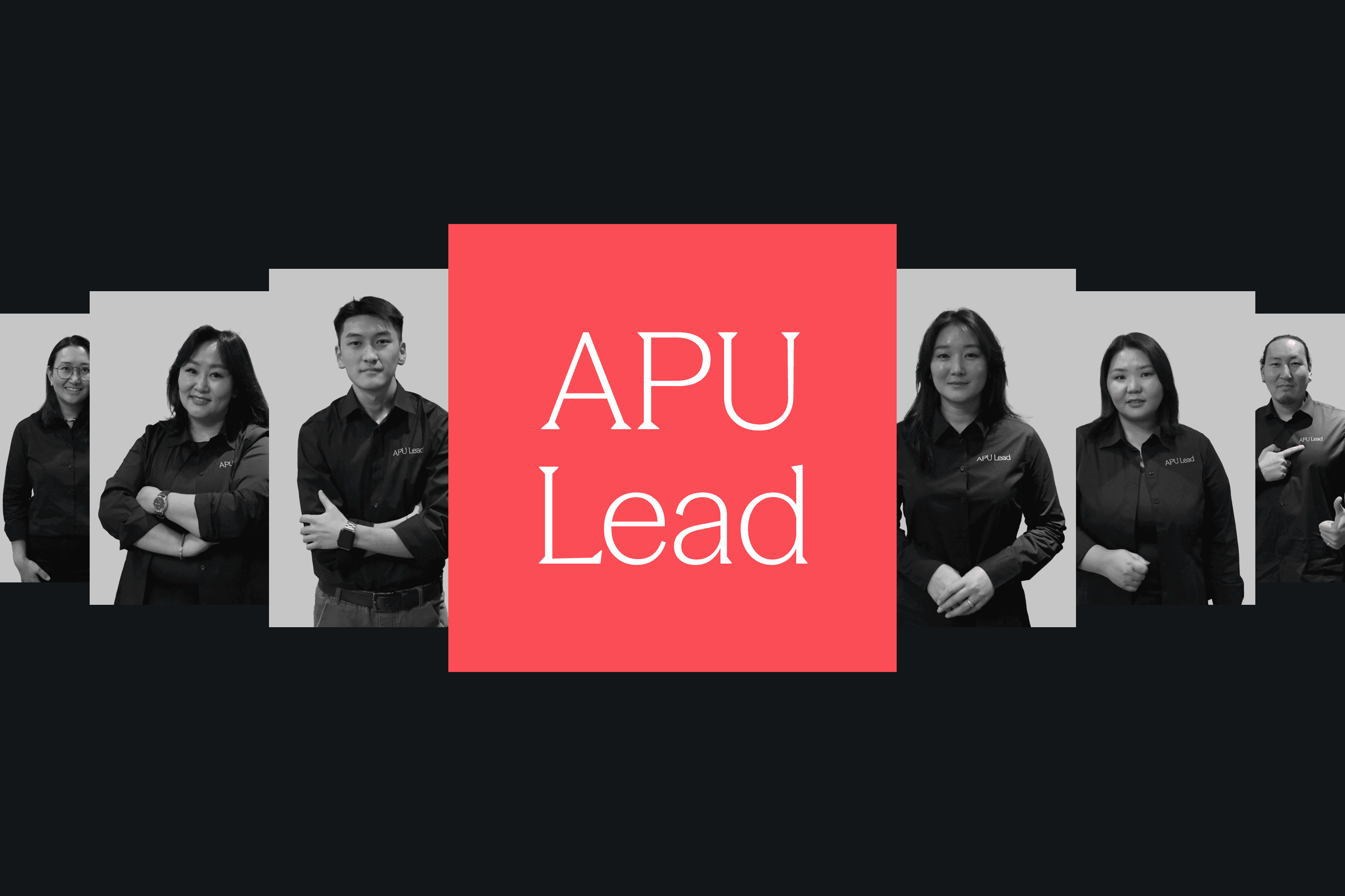 APU Lead, image 3