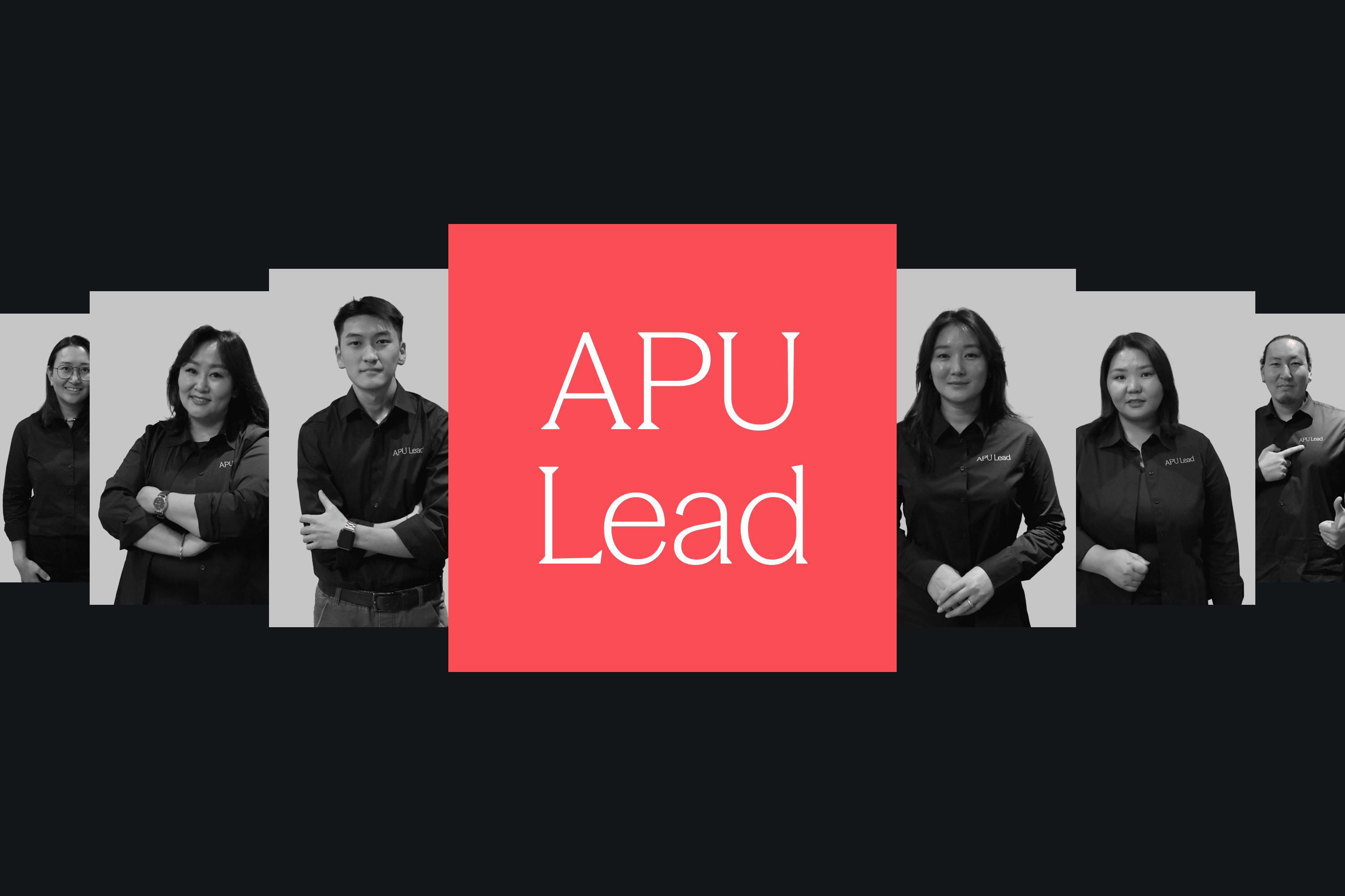 APU Lead - Image 3