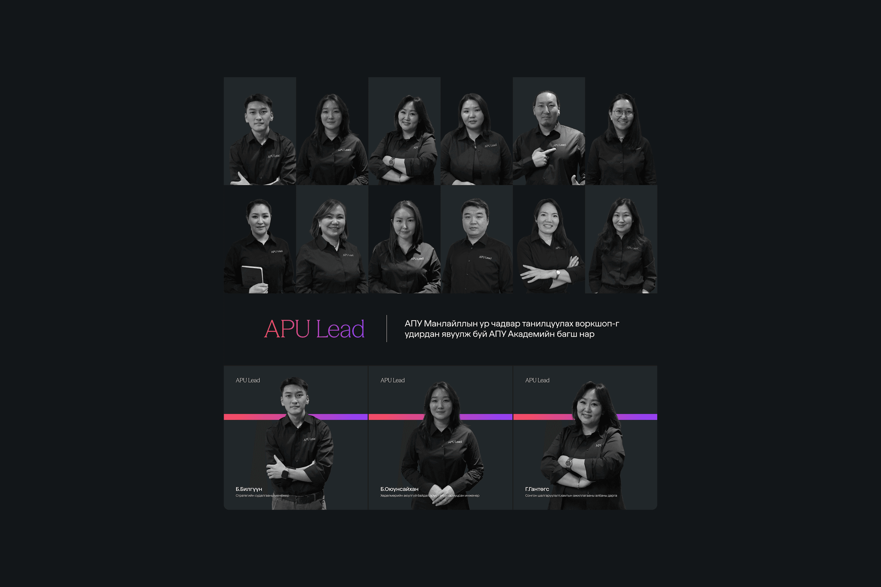 APU Lead, image 7