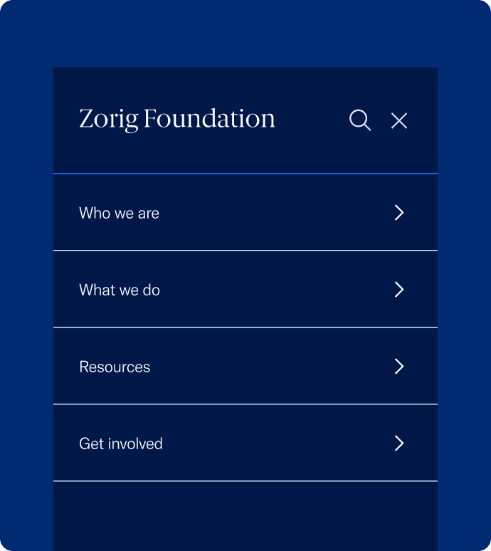 Zorig Foundation Website, image 5